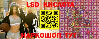 стаф Волгодонск