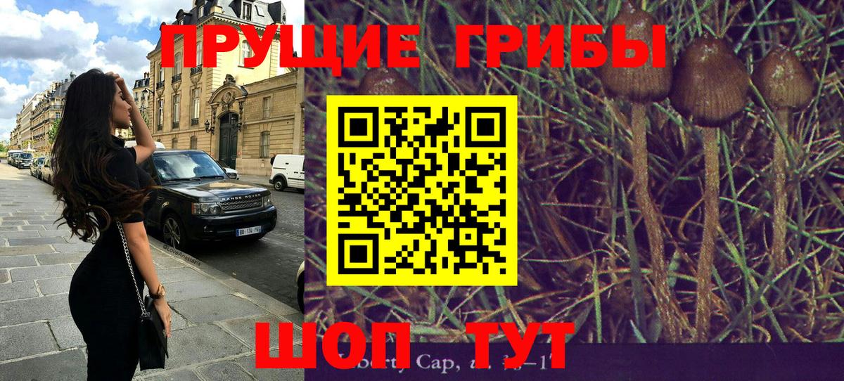 Новозыбков  Псилоцибиновые грибы Magic Shrooms  Галлюциногенные грибы Cubensis  Вход с VPN 