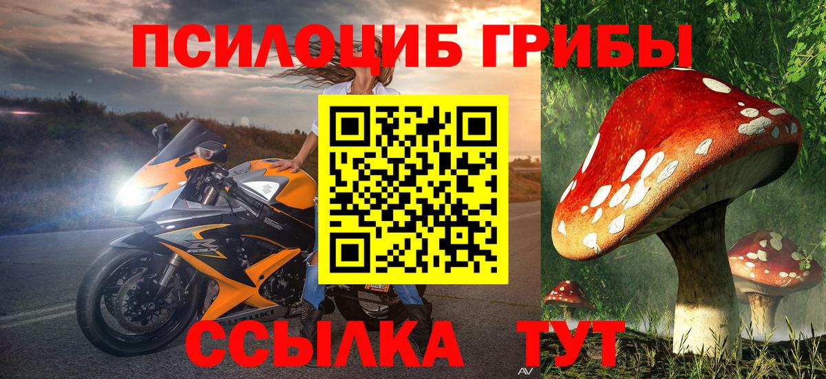 Галлюциногенные грибы прущие грибы Новозыбков