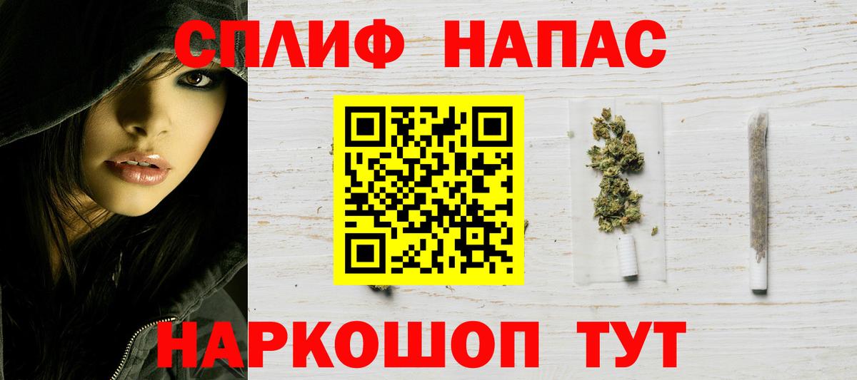 Конопля сатива Новозыбков